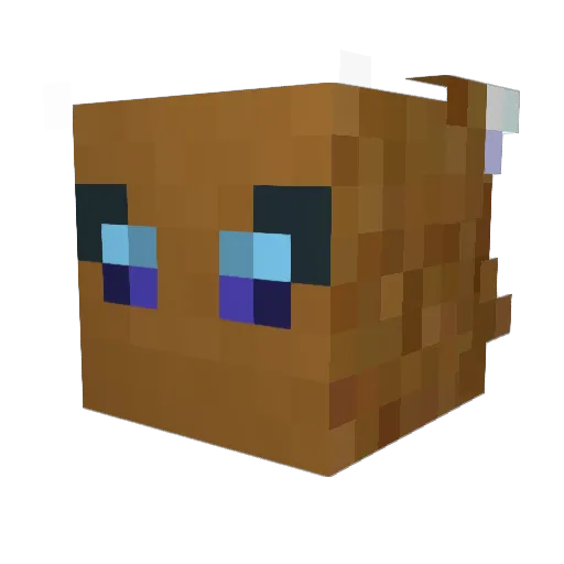 MawringFox Minecraft avatar head, 3D render