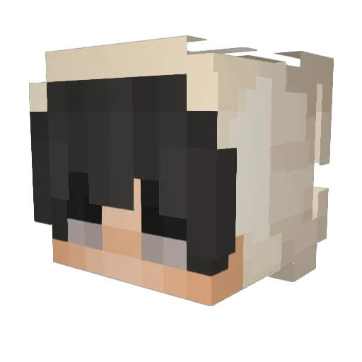 Max18yt Minecraft avatar head, 3D render