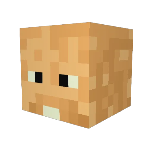 Max495 Minecraft avatar head, 3D render