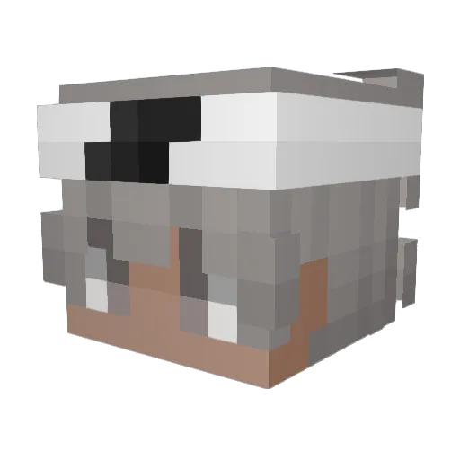 MaxCaesar555 Minecraft avatar head, 3D render