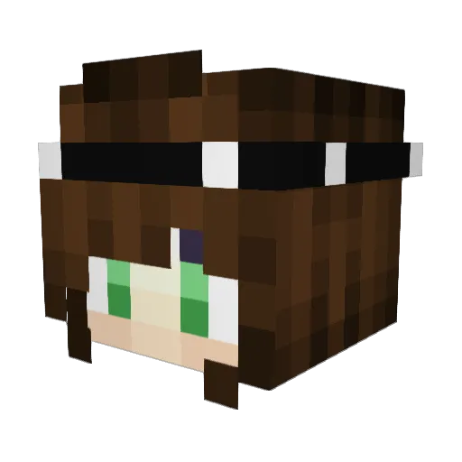 MaxCamPlays Minecraft avatar head, 3D render