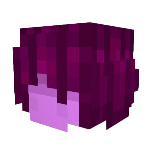 MaxCharlie Minecraft avatar head, 3D render