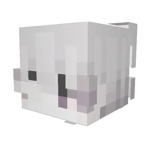 MaxDit Minecraft avatar head, 3D render