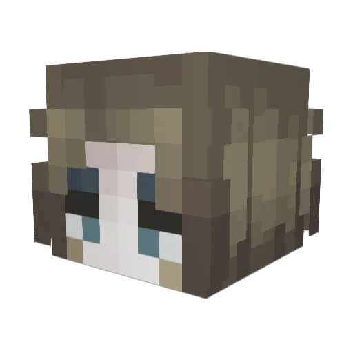 MaxDragon9 Minecraft avatar head, 3D render
