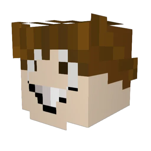 MaxDragonis Minecraft avatar head, 3D render