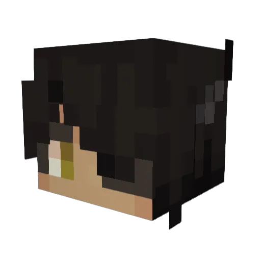 MaxDrift1 Minecraft avatar head, 3D render