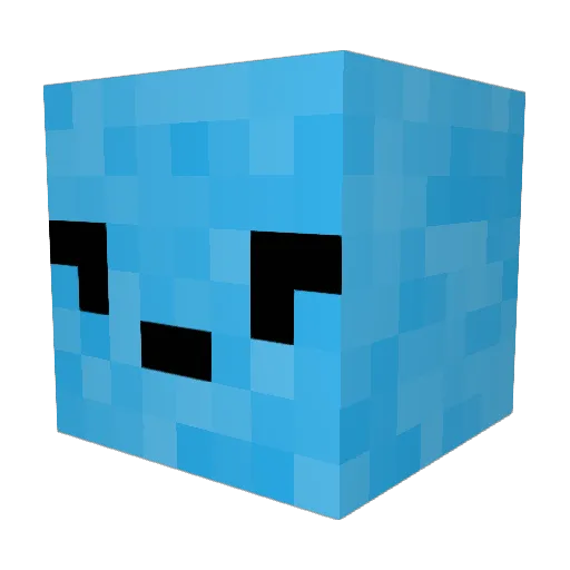 MaxF1sh Minecraft avatar head, 3D render