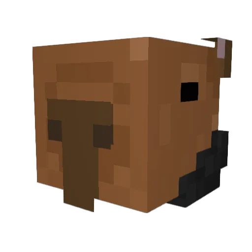 MaxFuzzball1881 Minecraft avatar head, 3D render