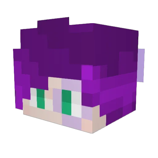 MaxIsConfused Minecraft avatar head, 3D render