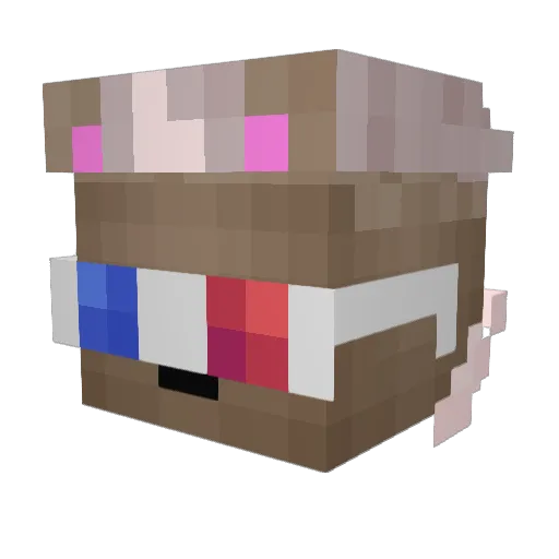 MaxIsLost12 Minecraft avatar head, 3D render