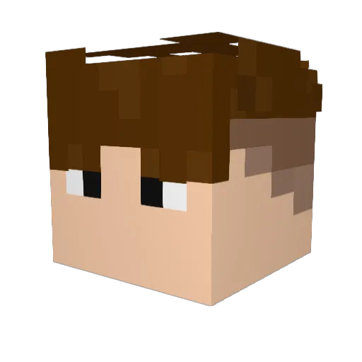 MaxJu1508 Minecraft avatar head, 3D render