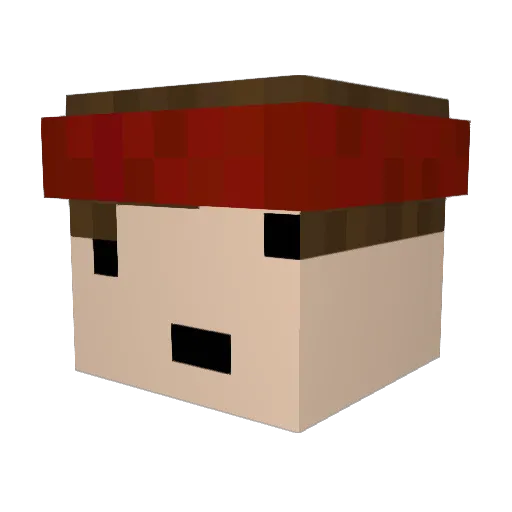 MaxKartoffel Minecraft avatar head, 3D render