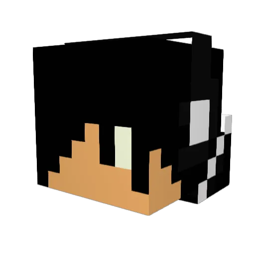 MaxMixMax_PvP Minecraft avatar head, 3D render