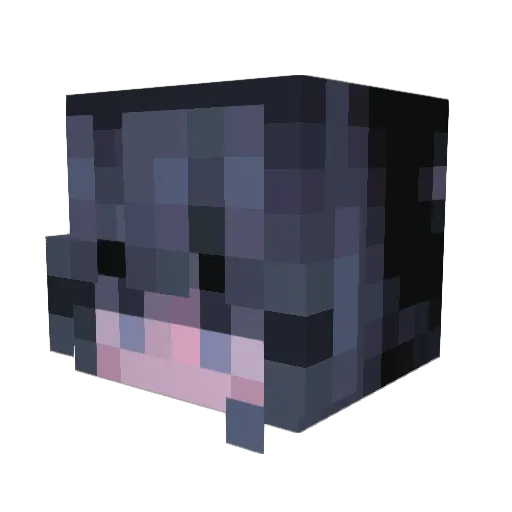 MaxNoirAngel Minecraft avatar head, 3D render