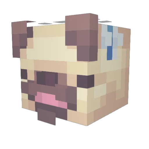 MaxPuges Minecraft avatar head, 3D render