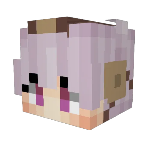 MaxRincon Minecraft avatar head, 3D render