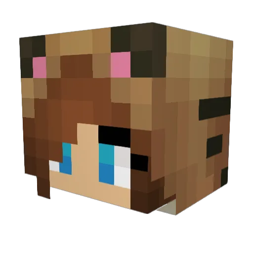 MaxSchwa Minecraft avatar head, 3D render