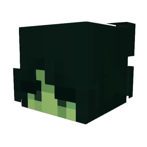 MaxShug12 Minecraft avatar head, 3D render