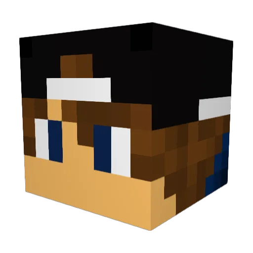 MaxSimple1 Minecraft avatar head, 3D render