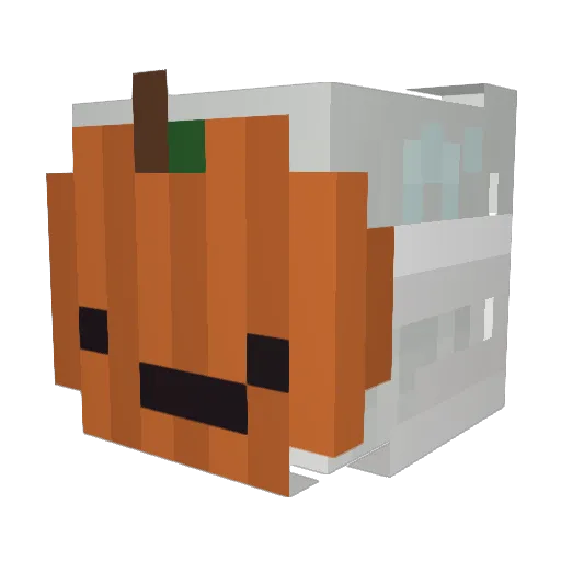 MaxSteew Minecraft avatar head, 3D render