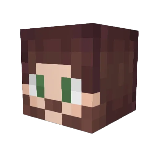 MaxSw0le Minecraft avatar head, 3D render