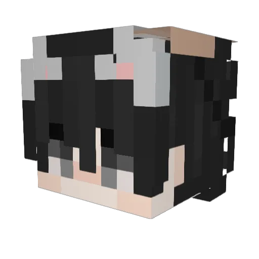 MaxTheTwix Minecraft avatar head, 3D render
