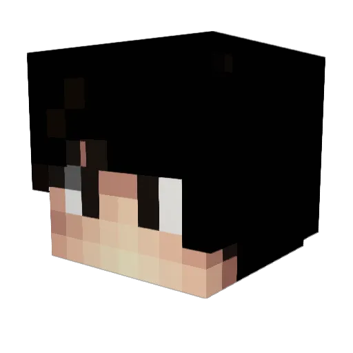 MaxTroll271 Minecraft avatar head, 3D render
