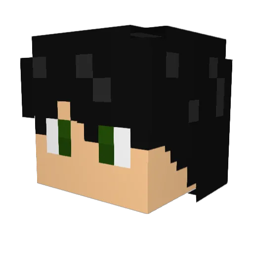 MaxVonVader Minecraft avatar head, 3D render