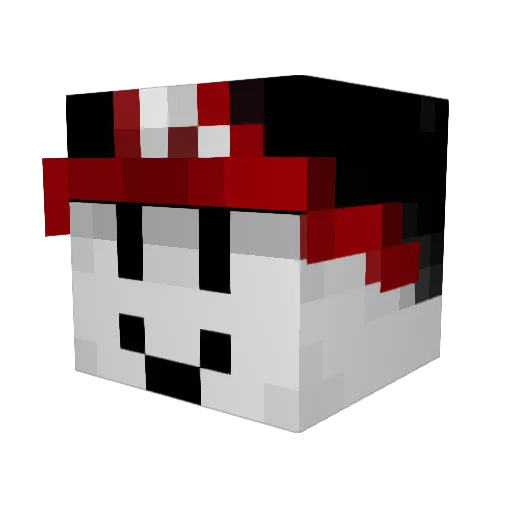 MaxWcraft56 Minecraft avatar head, 3D render