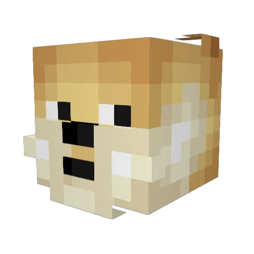MaxXterCry325 Minecraft avatar head, 3D render