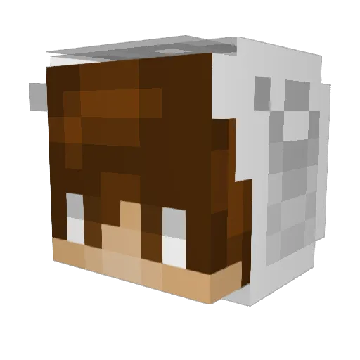 Max_20101 Minecraft avatar head, 3D render