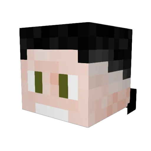 Max_69 Minecraft avatar head, 3D render