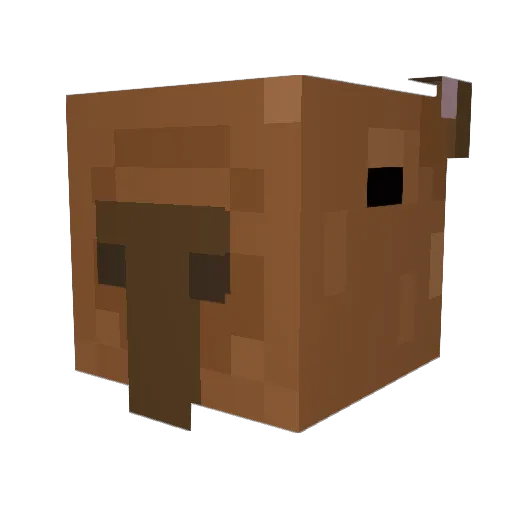 Max_Duck Minecraft avatar head, 3D render