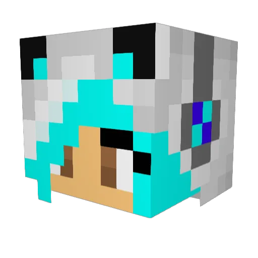 Max_King_1999 Minecraft avatar head, 3D render