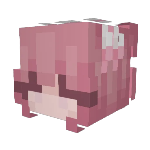 Max_Teretury Minecraft avatar head, 3D render