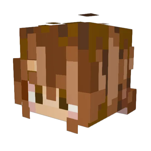 Max_is Minecraft avatar head, 3D render