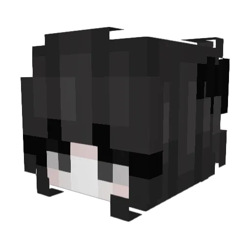 Maxachika Minecraft avatar head, 3D render