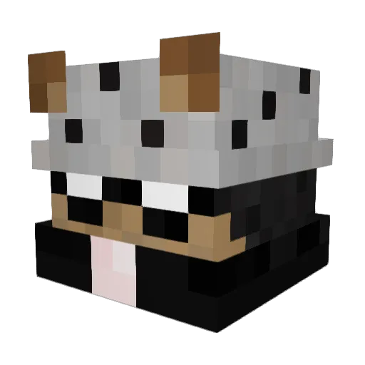 Maxanion Minecraft avatar head, 3D render