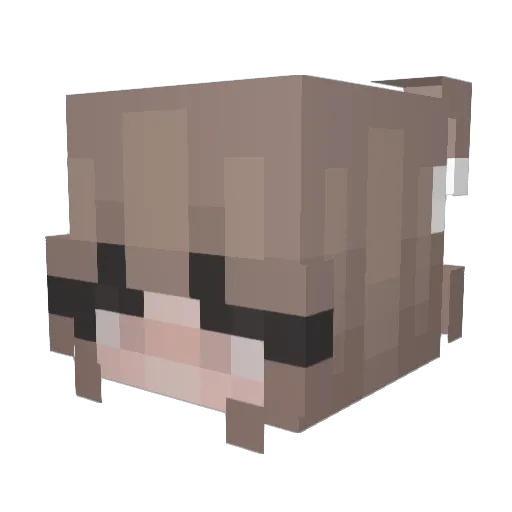 Maxari_ Minecraft avatar head, 3D render