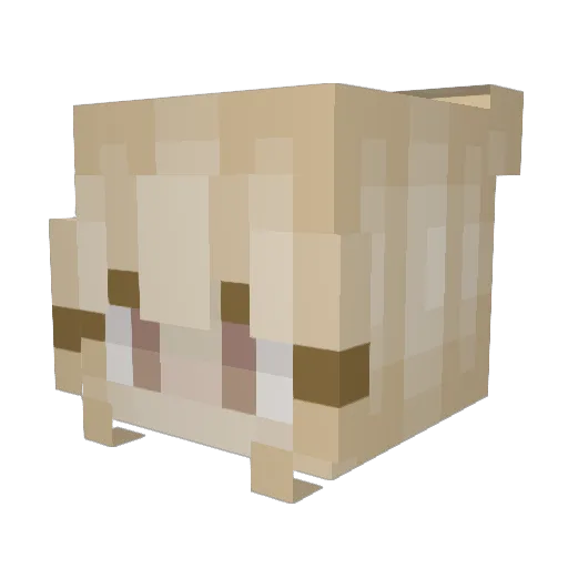 Maxdidurmom Minecraft avatar head, 3D render
