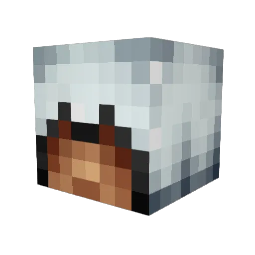 Maxe1989 Minecraft avatar head, 3D render