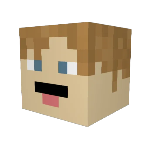Maxematician Minecraft avatar head, 3D render