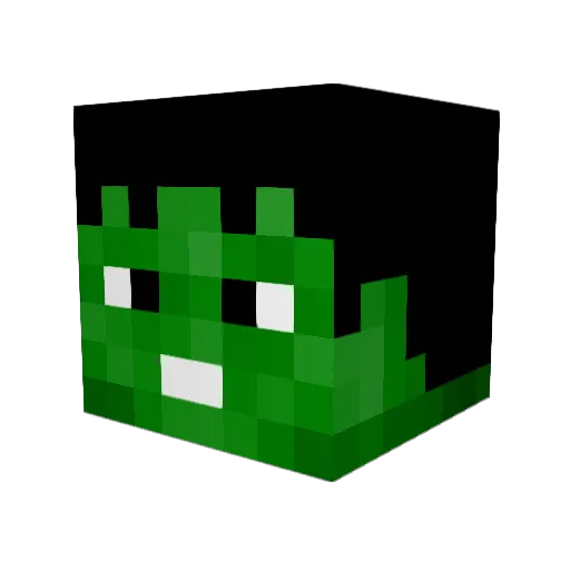 Maxen0815 Minecraft avatar head, 3D render