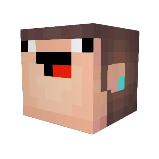 Maxhoppen899 Minecraft avatar head, 3D render