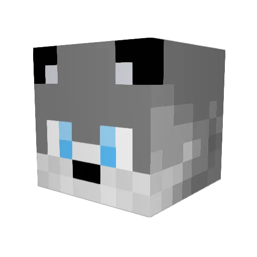 Maxhunter12 Minecraft avatar head, 3D render