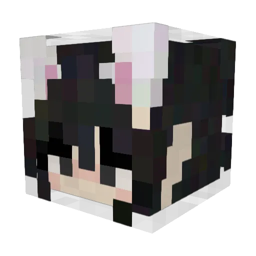 Maxi101213 Minecraft avatar head, 3D render