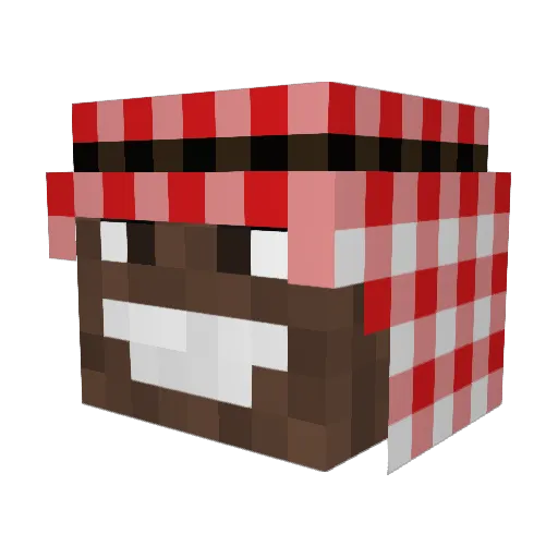 Maxi1717 Minecraft avatar head, 3D render