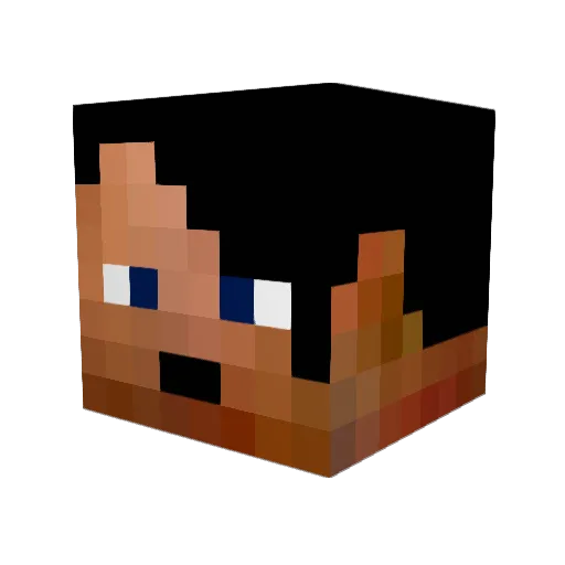 Maxi1739 Minecraft avatar head, 3D render