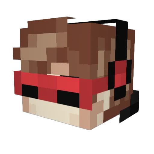 Maxi554 Minecraft avatar head, 3D render