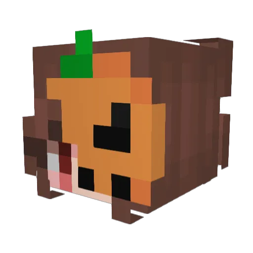 MaxiB3st0f_ Minecraft avatar head, 3D render